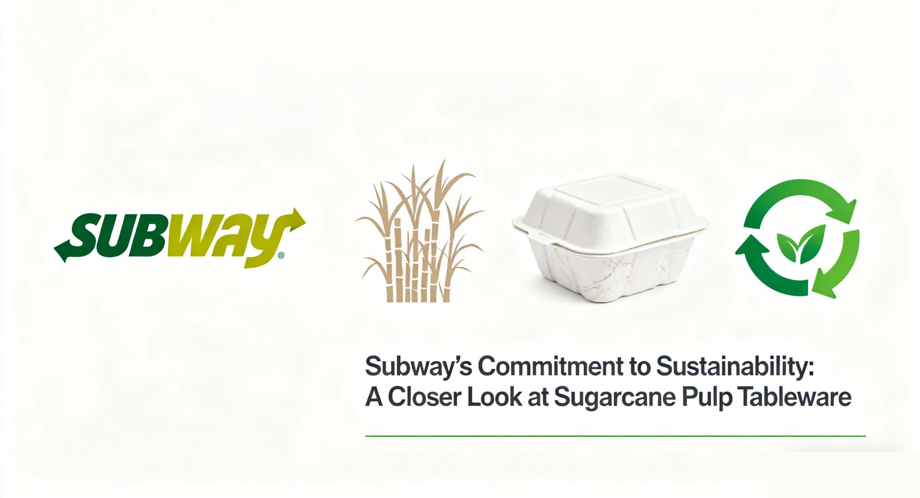 Subway’s Commitment to Sustainability A Closer Look at Sugarcane Pulp Tableware