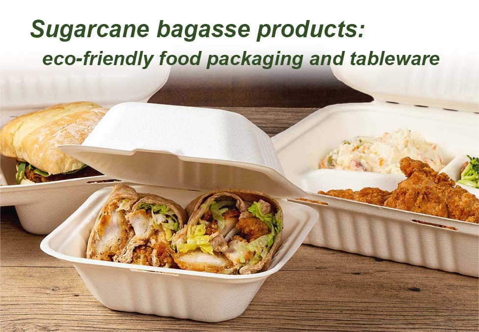 Sugarcane bagasse products eco-friendly food packaging and tableware