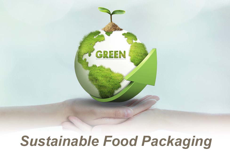 Sustainable Food Packaging Why Bagasse Hamburger Boxes Are the Future of Eco-Friendly Dining
