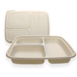 Eco-Friendly 3 Compartment Lunch Tray