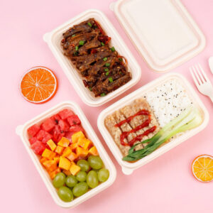 biodegradable food contai