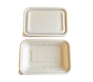 biodegradable food container1