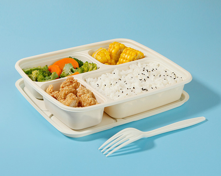 catering lunch tray