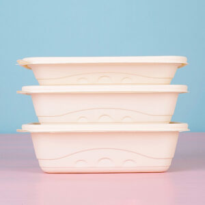compostable food box