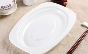 Disposable Party Plates