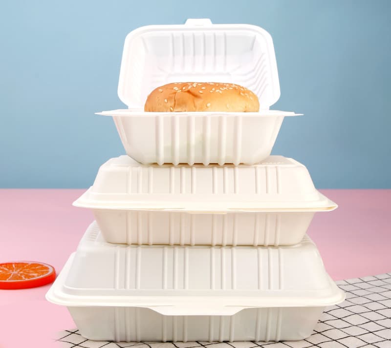 disposable eco-friendly container