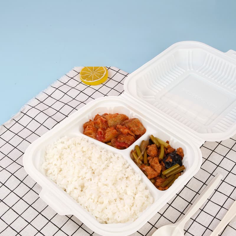 eco-friendly takeaway box