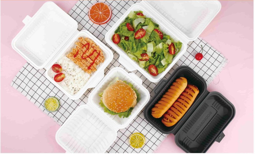 portion control food box (1)
