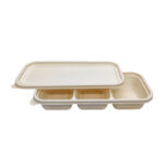 Cornstarch 3-Compartment Salad Box & Light Meal Container Series