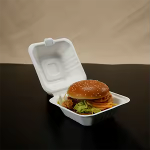 Bagasse hamburger boxes