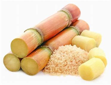 Sugarcane 
