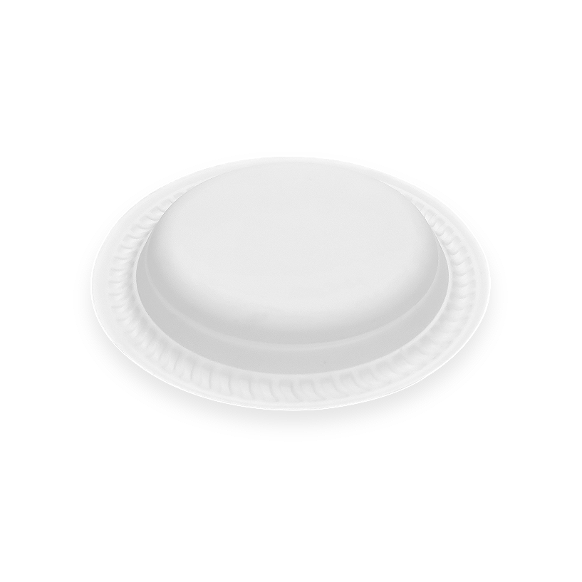 06 Cornstarch Disposable Plates 06 Cornstarch Disposable Plates