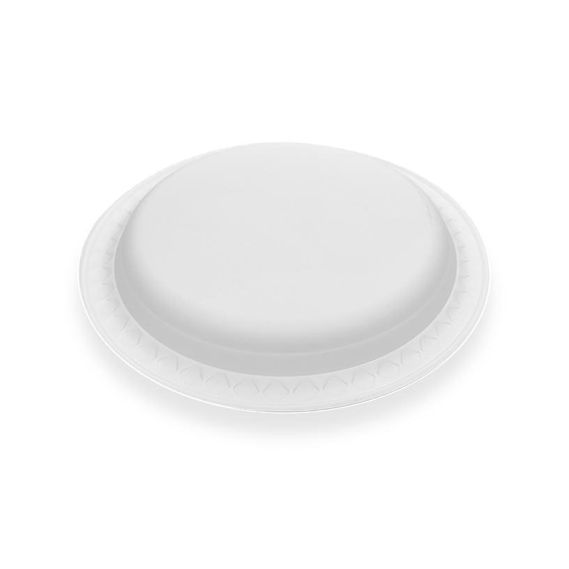 09 Compostable Tableware 09 Compostable Tableware
