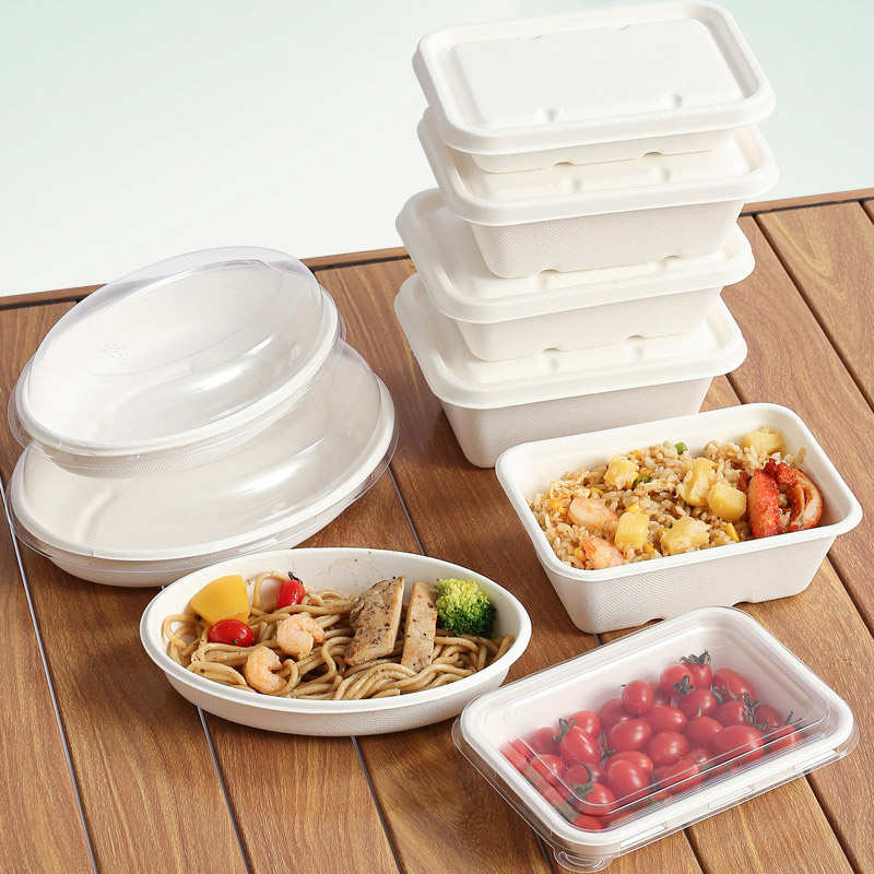 bagasse oval bowl