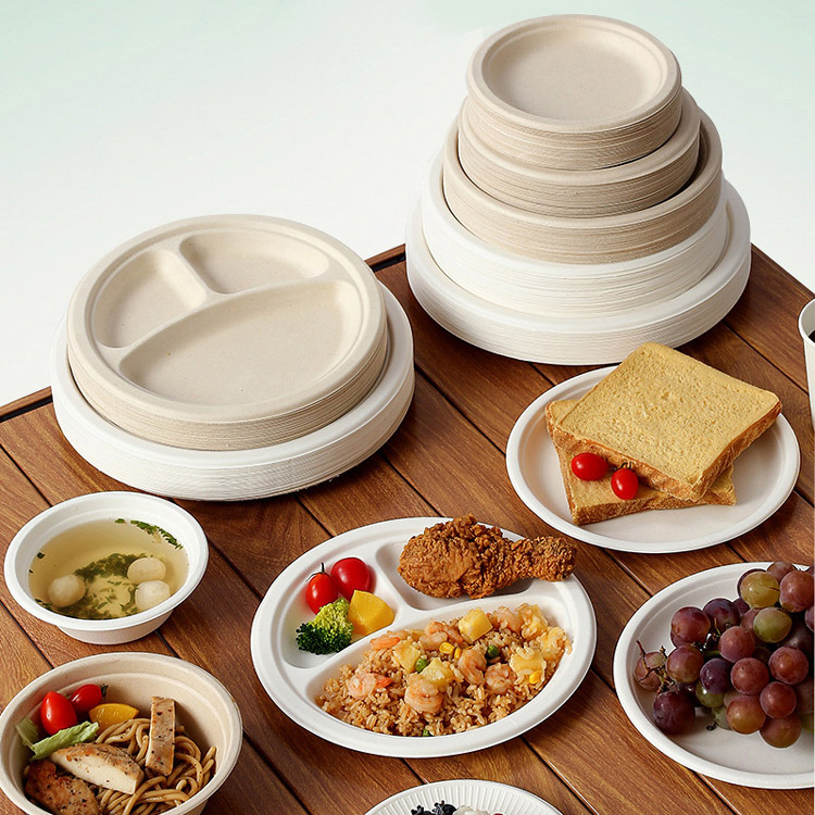 bagasse plate bagasse plate