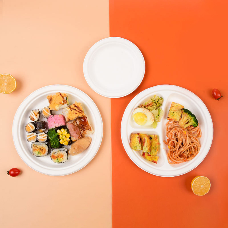 bagasse plate bagasse plate