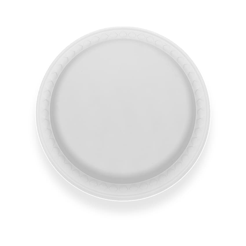10 Zero Waste Cornstarch Plate