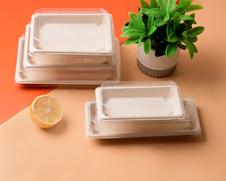 bagasse sushi tray