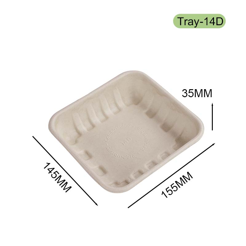 Bagasse tray