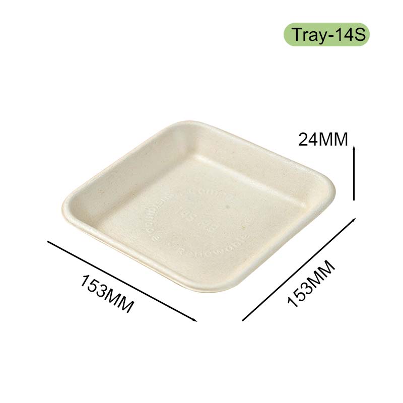 bagasse tray