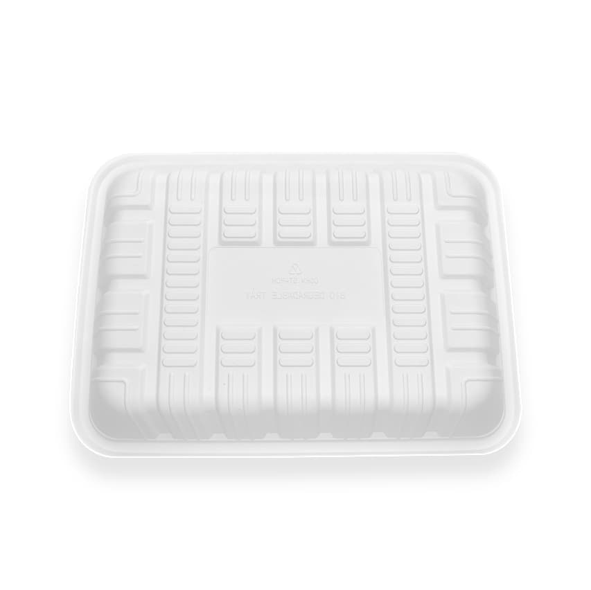 240 Biodegradable Food Tray 240 Biodegradable Food Tray
