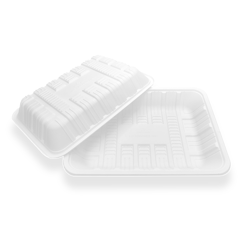 240 Compostable Food Tray 240 Compostable Food Tray