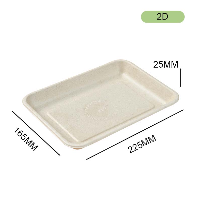 bagasse tray