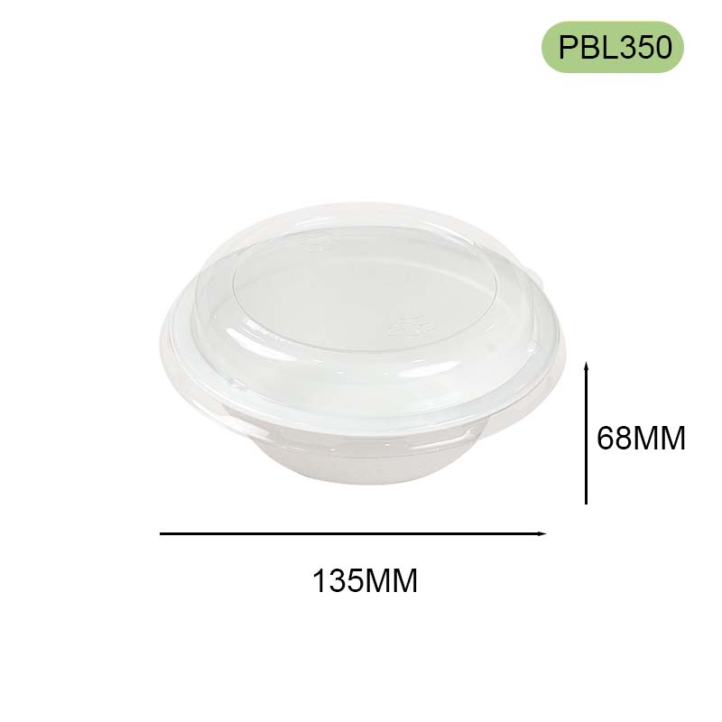 bagasse bowl