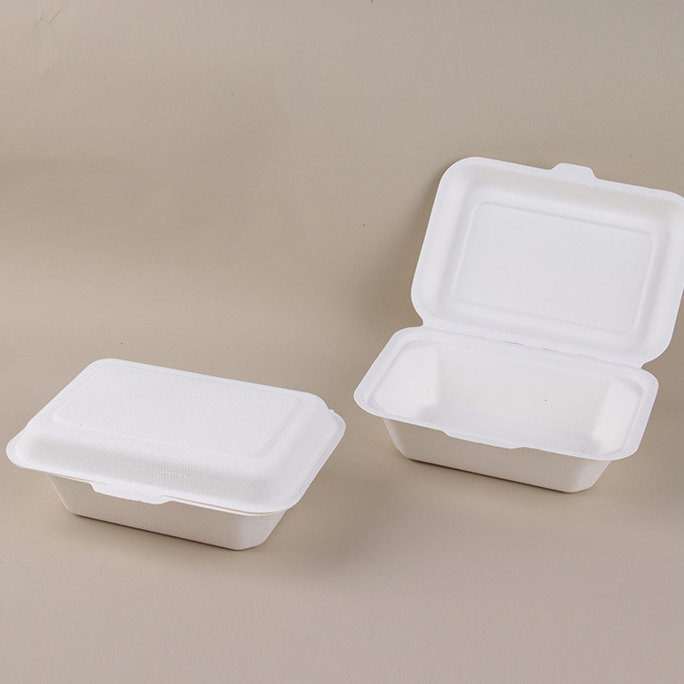 450 Sustainable food packaging with hinged lid 450 Sustainable food packaging with hinged lid