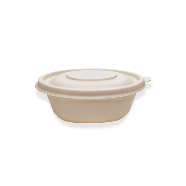 450ml leak-proof takeout container