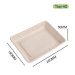 4D Bagasse Tray – Eco-Friendly Sugarcane Plate for Sustainable Food Packaging