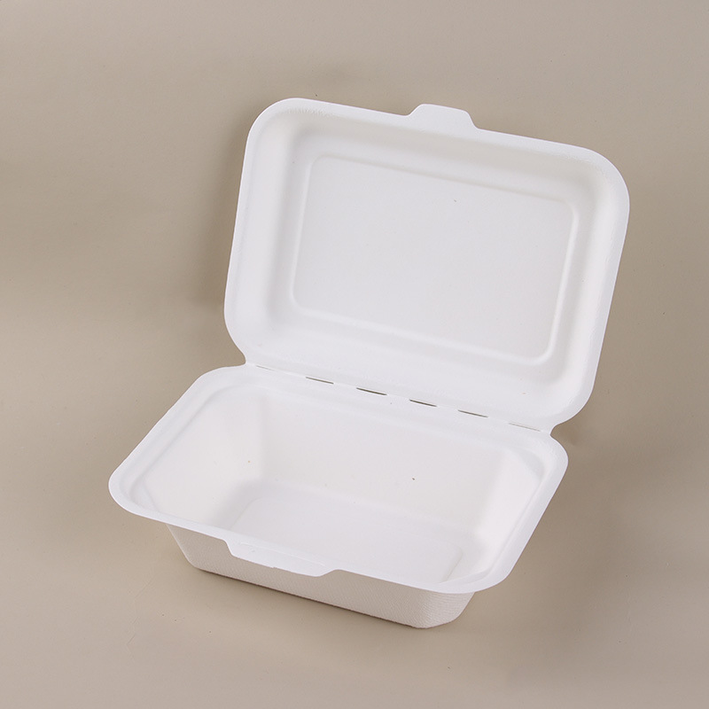 600Eco-conscious bagasse box with lid 600Eco-conscious bagasse box with lid