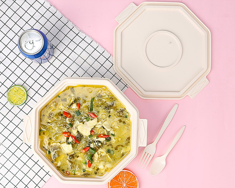 Biodegradable Food Bowl