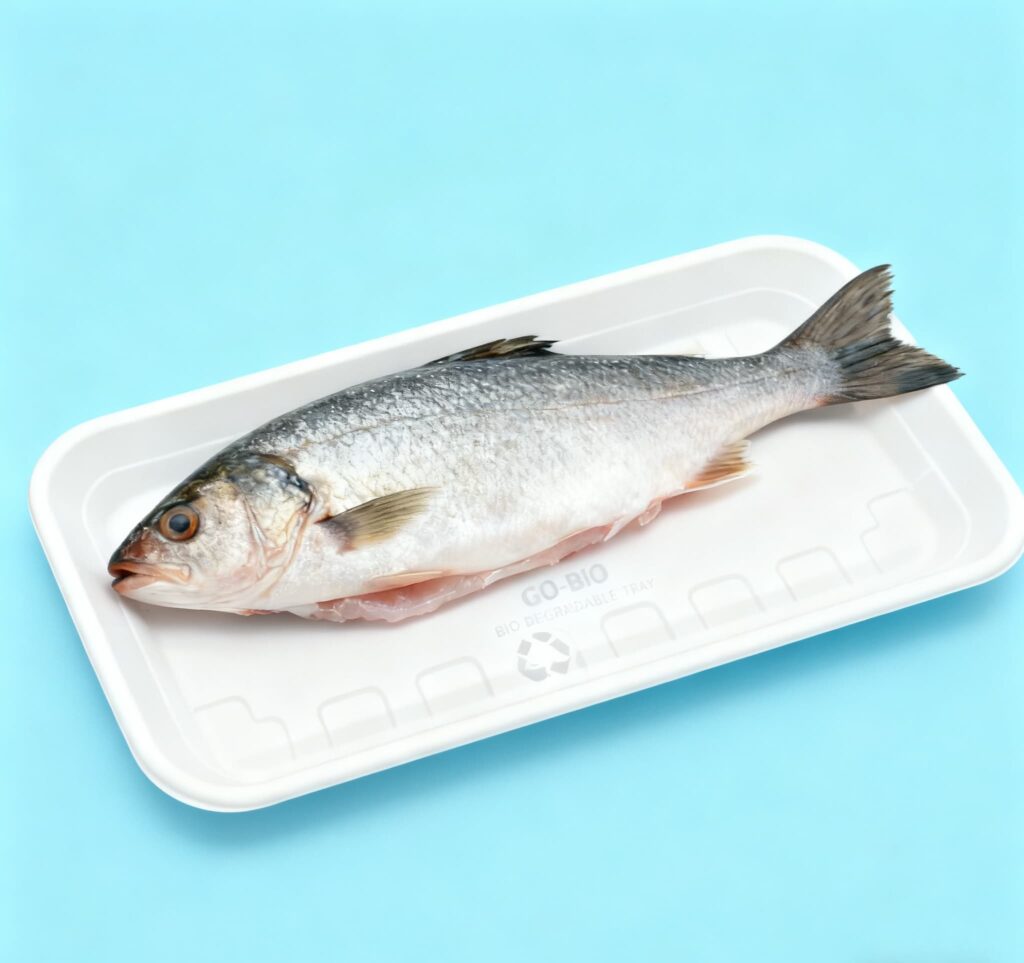 Biodegradable Food Tray