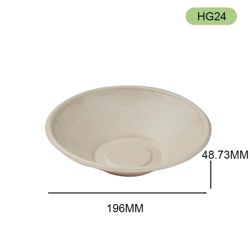 bagasse bowl