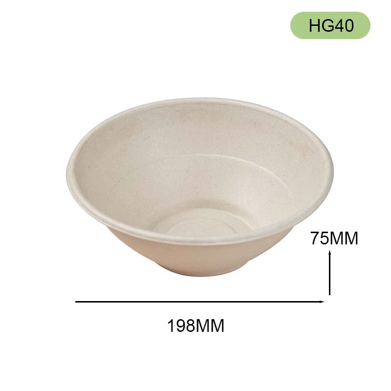 bagasse bowl