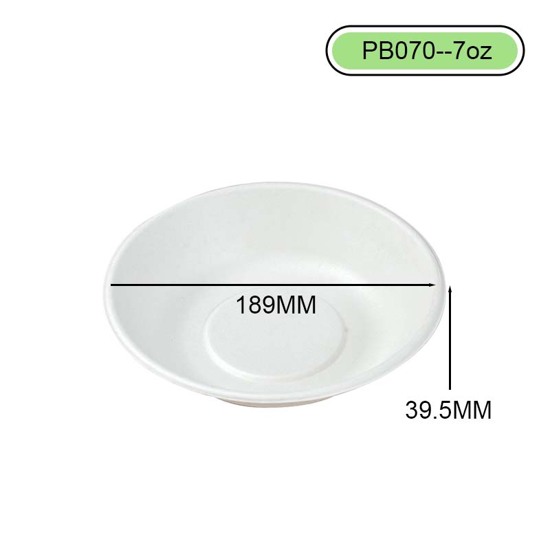 bagasse bowl