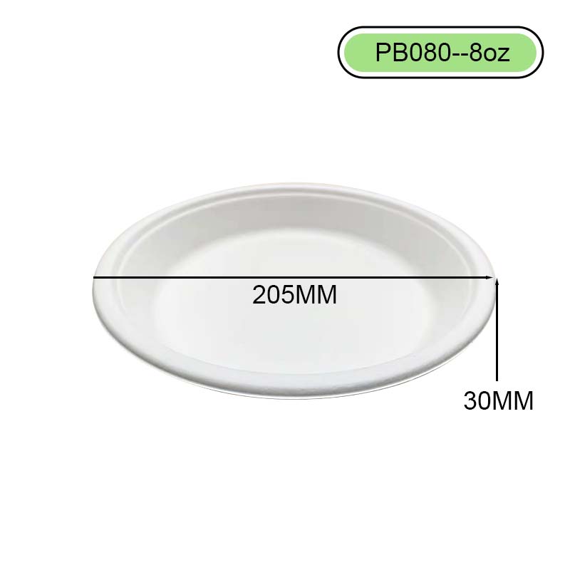 bagasse bowl