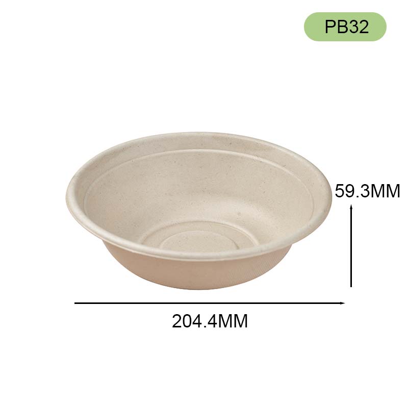 bagasse bowl