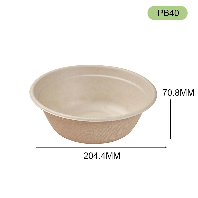 bagasse bowl