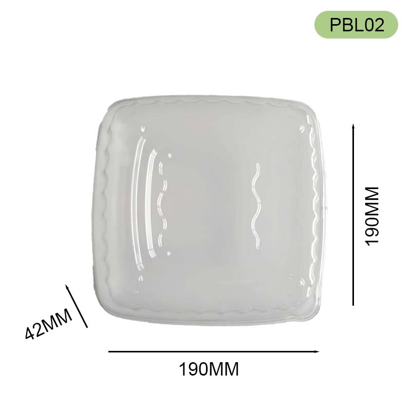PET lid with bagasse bowl PET lid with bagasse bowl