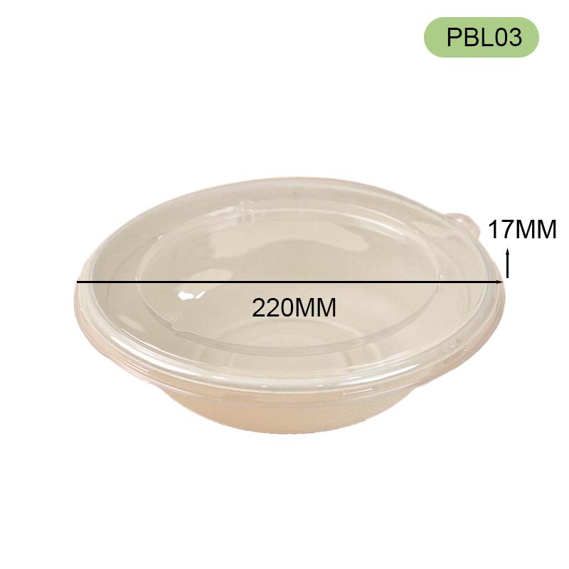 bagasse bowl with PET lid