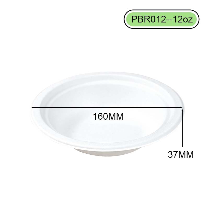 bagasse bowl