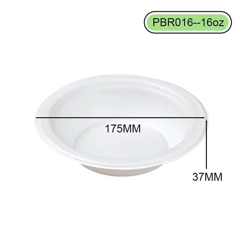 bagasse bowl