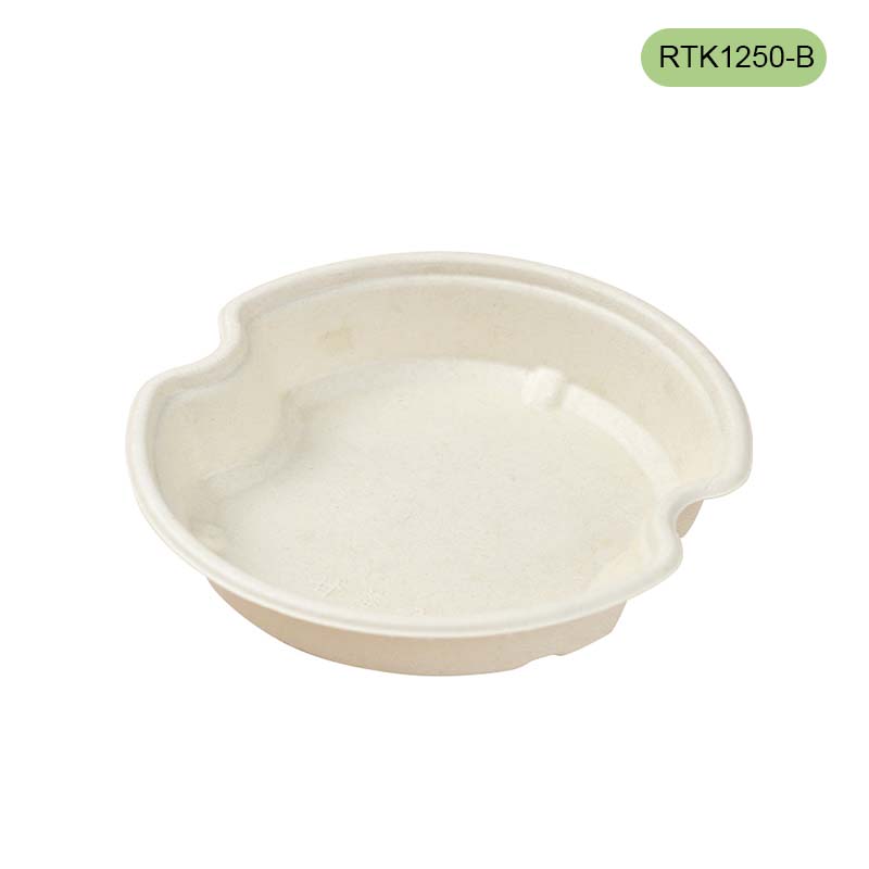 Insert for bagasse bowl