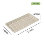 TR10S Bagasse Tray — Eco-Friendly Sugarcane Fiber Food Tray
