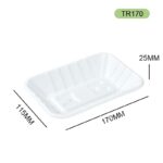 TR170-DASHAN Biodegradable Bagasse Food Tray