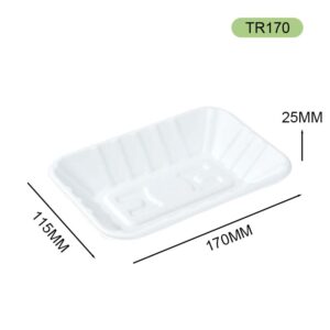 bagasse tray