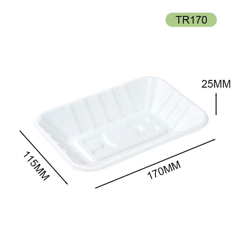 bagasse tray