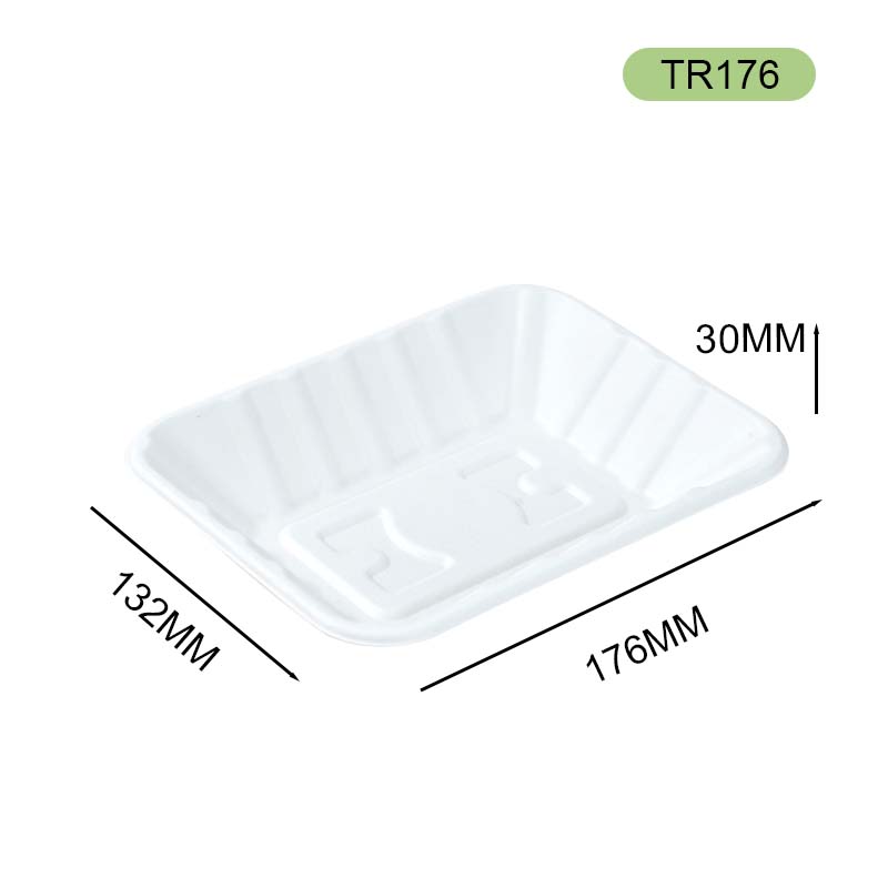 bagasse tray